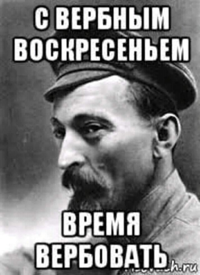 Дефект бруса