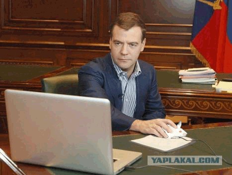 На ЯПе завис