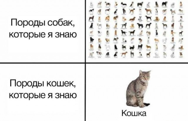 Немного картинок для настроения 06.10.20