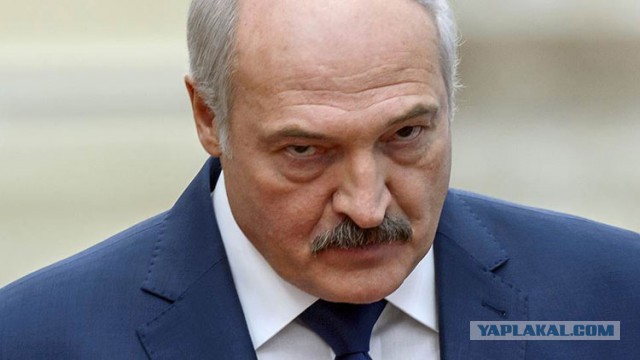 Картошка - антиславянская диверсия и убийца мозга