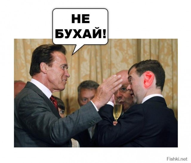 Медведев обвинил разнотык в бедах России