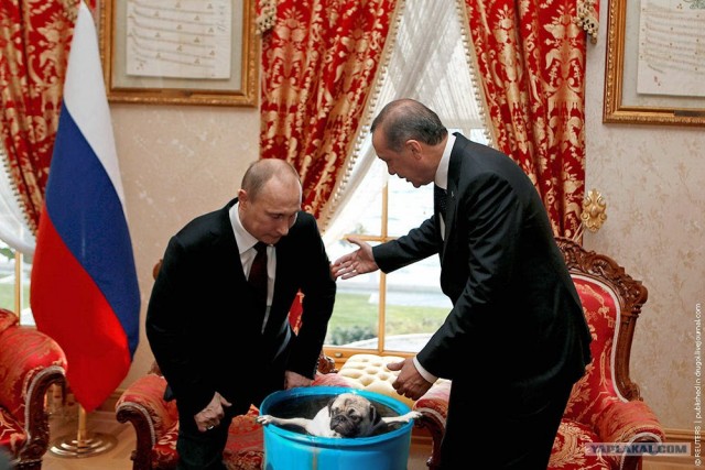 Фотожаба: Эк его раскорячило!