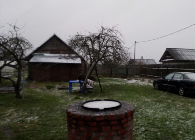 Пчёл нет