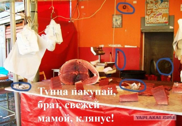 Апельсиняя рыба