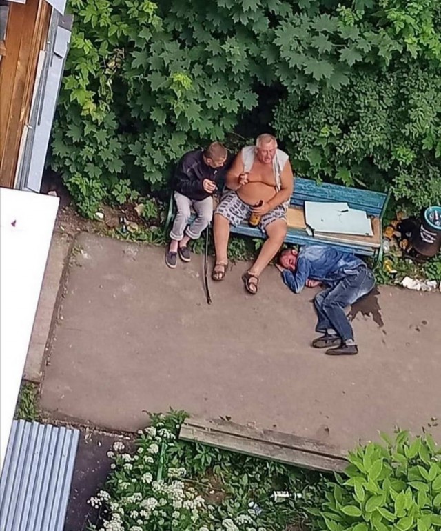 Скотсети и прочие интернеты 05.08.2021