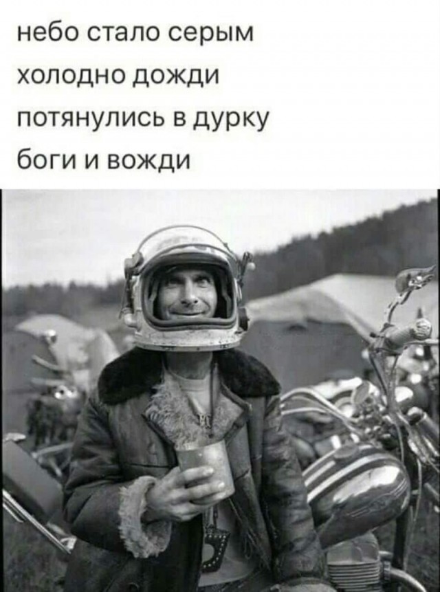 Всяческие картинки 10.11.2021