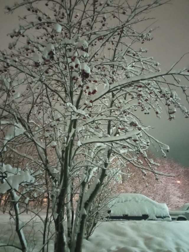 "Почему мужчины избегают меня" или вопрос дамы к знакомому