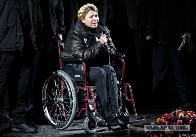 Новая реальность: заболевший ковидом президент Чехии назначал нового премьера страны, сидя в инвалидном кресле и за стеклом