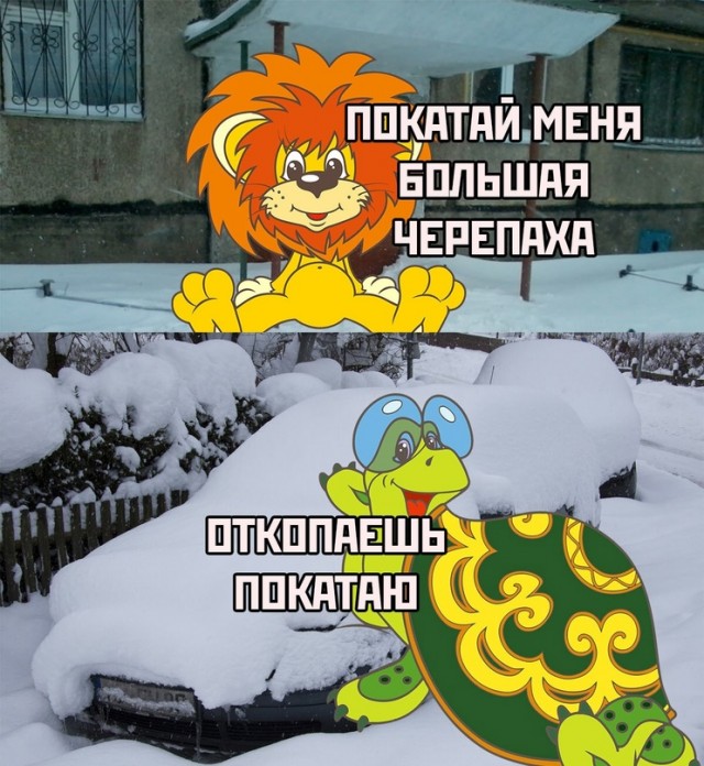 Весёлый полтишок 19.12