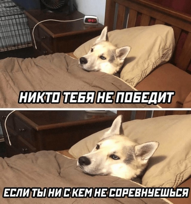 Разные картинки для настроения на любой вкус - 5