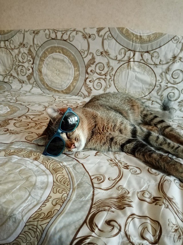 Разбавлю новости