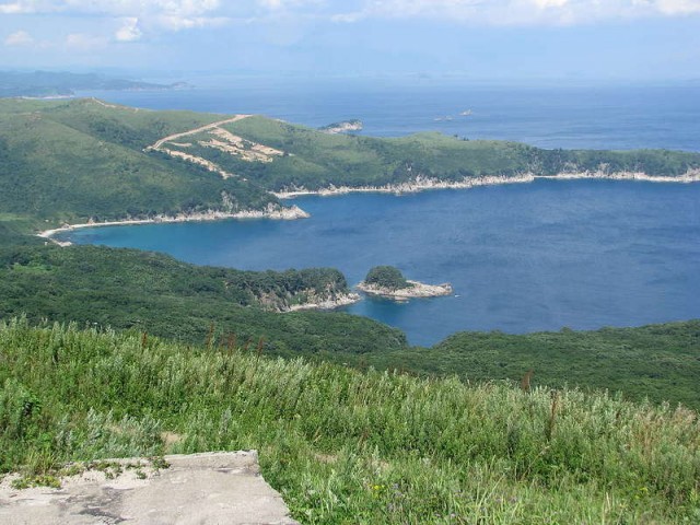 Отчет о спасении от акулы