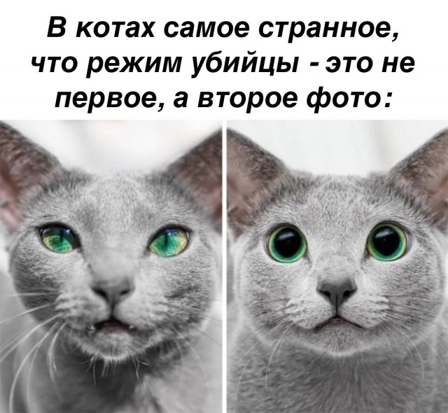 Так себе картинки 24.04.22