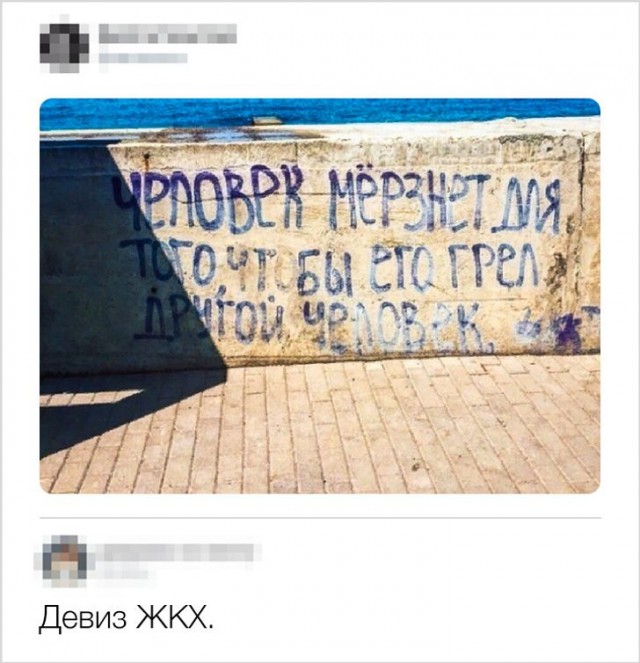 Веселые картинки!