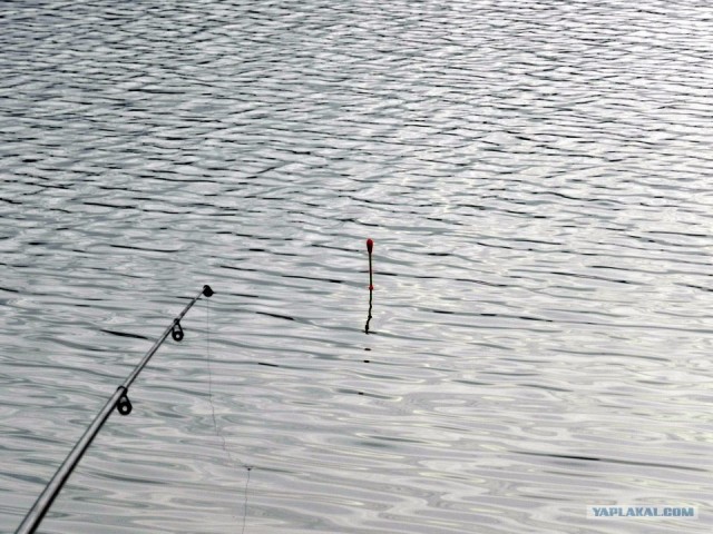 Рыбалки псто