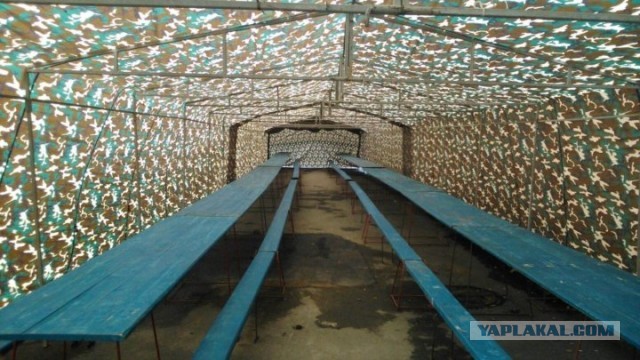 В февральские планы это тоже входило?
