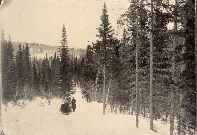 Сибирские казаки на службе и дома. Альбом 1911 года