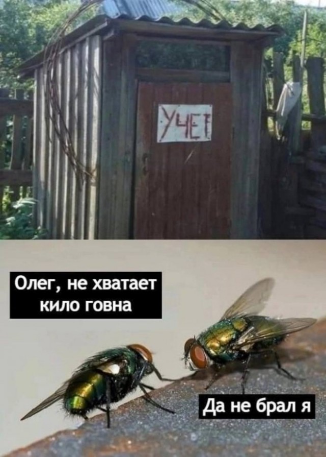 Так себе картинки 22.01.23