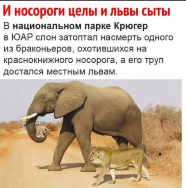 Забавные комментарии из социальных сетей (06.02.23)