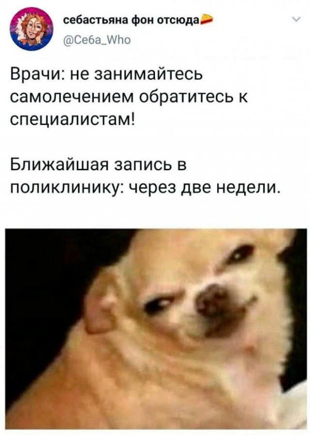 Картинки и мемы, всяко разно - 179