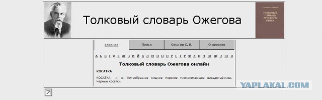 Косатки просто проходят мимо двух плавающих детей