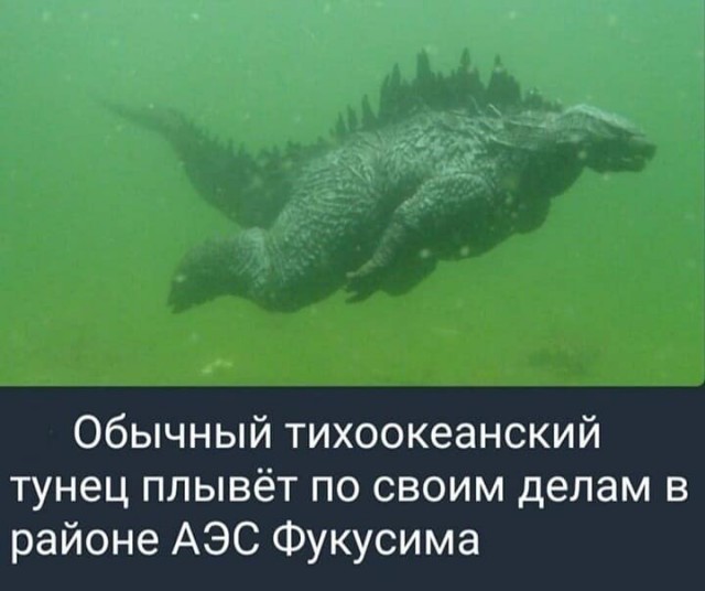 Почти 50 картинок