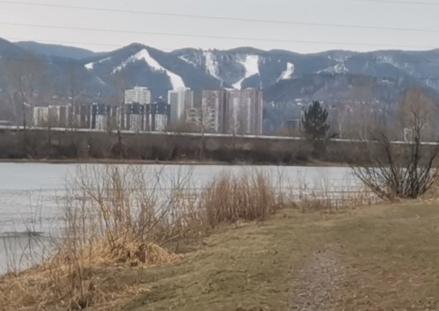 Сегодняшнее фото без затей