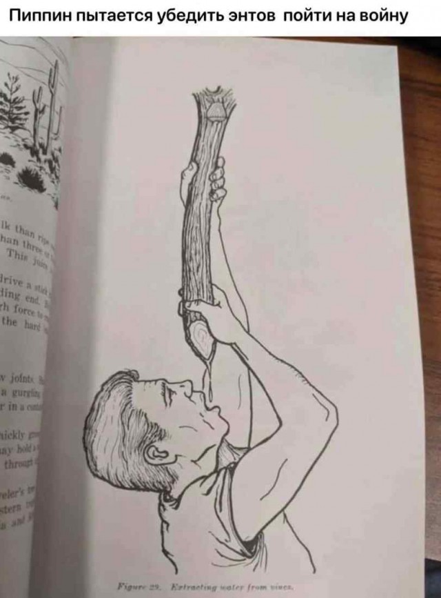 Майская чернушка
