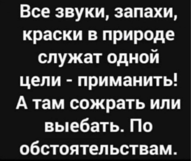 Нуштош 18.05.2024