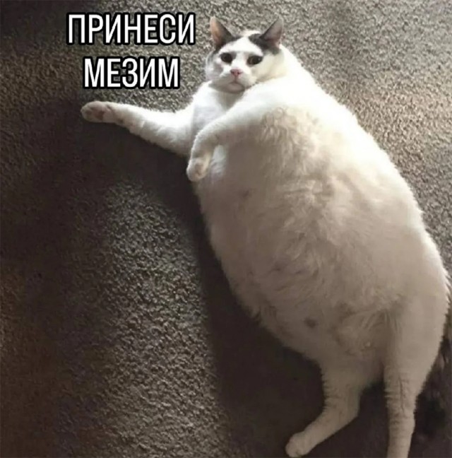 Немного картинок и прочей хреноты Vol. 30