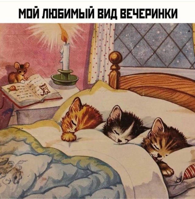 Немного забавных картинок от 22.08.2024