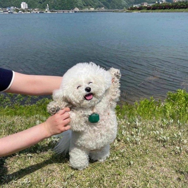 ФотоВинегрет