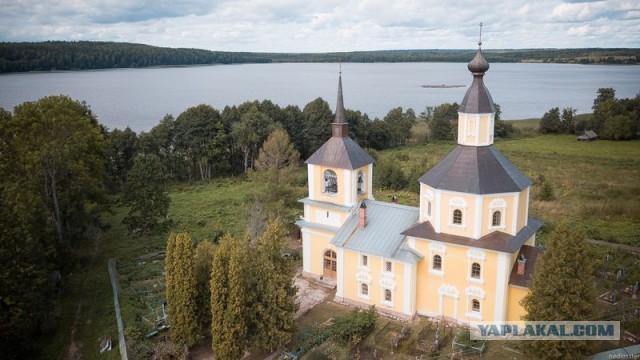 100 тонн форели стоимостью 100 млн рублей сбежало из рыбного хозяйства под Новгородом