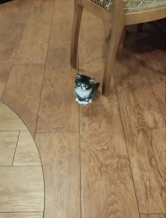 Маленькость. Сидит, глядит, никого не трогает