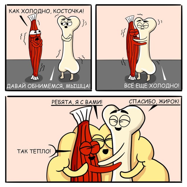 Стоит ли вообще ходить в качалку, если ты жирный?