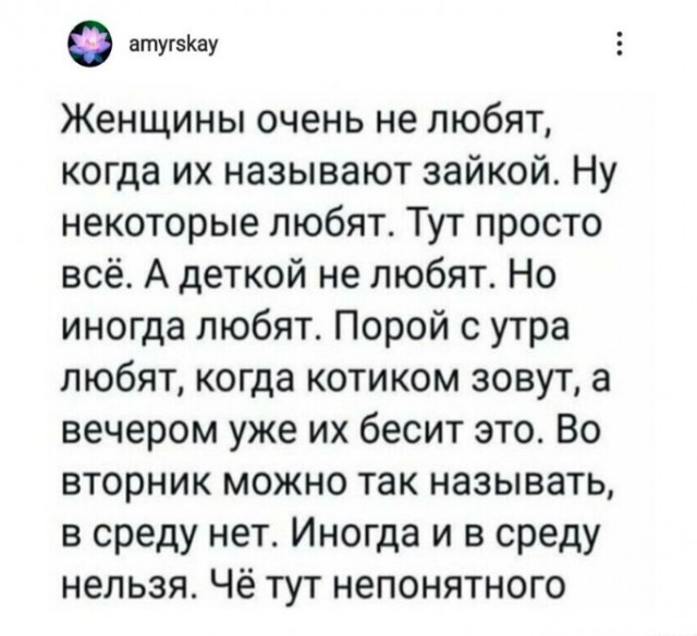 Весёлый полтишок 16.02.25