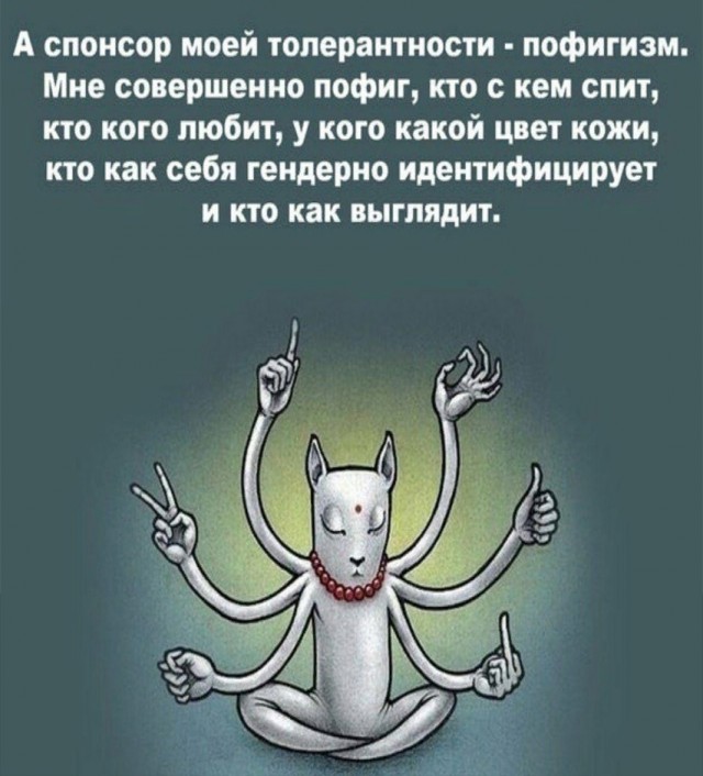 Так себе картинки 18.02.25
