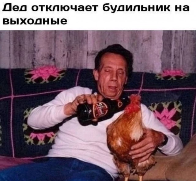 Так себе картинки 15.03.25