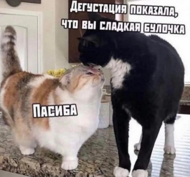 Псто (возможно без баянов)