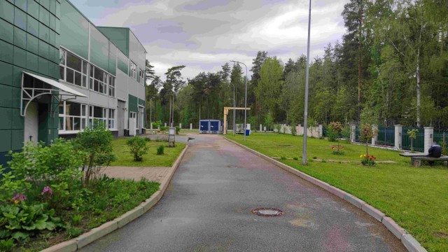 Просто сад, просто газон