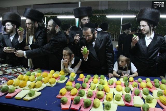 Вы покупаете или продаете?