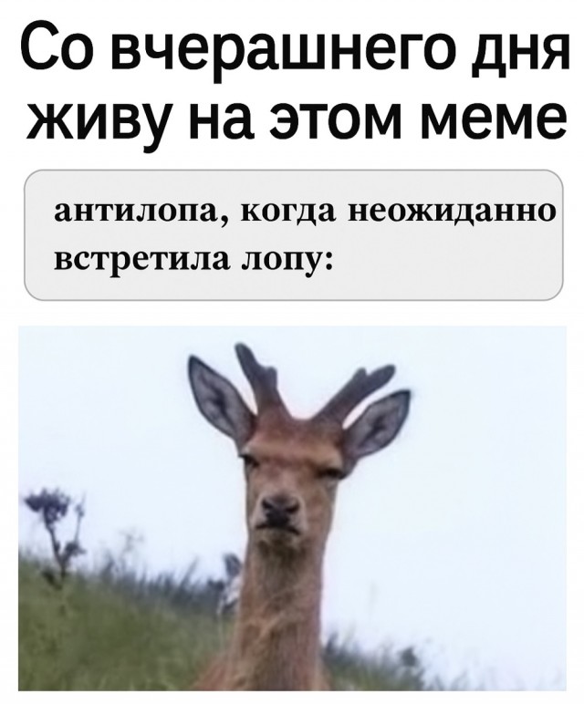 Картинки маленькой пятницы