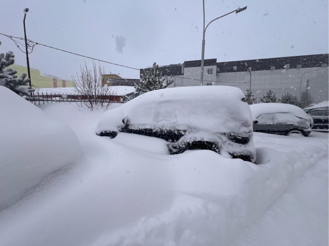 Теперь точно до весны
