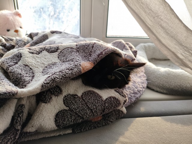 Красноярск в -40°C