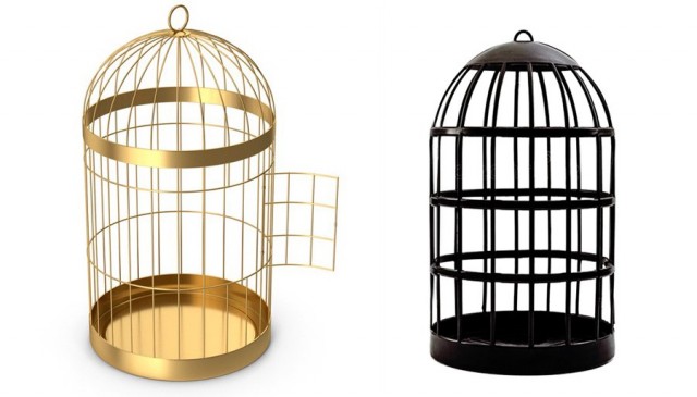 В Южной Корее зафиксирован максимальный за последние семь лет рост рождаемости