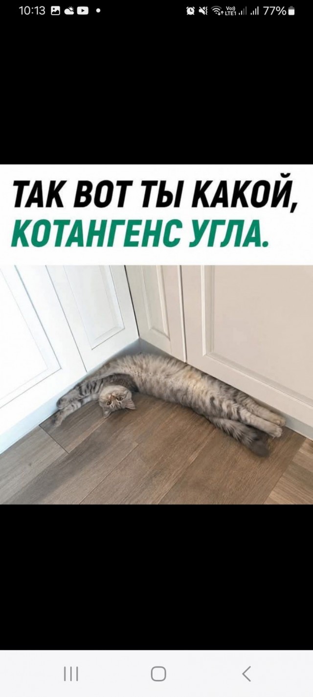Веселые картинки в понедельник (08.06)