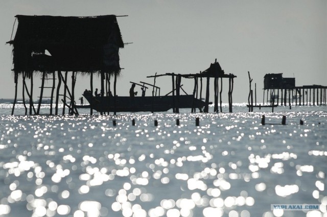 Морские цыгане с острова Борнео