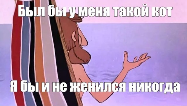 Кот конечно слабее медведя...