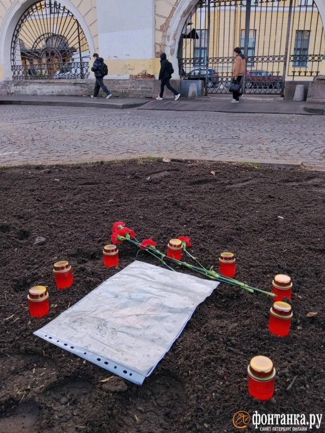 115 лет рос, за один день спилили