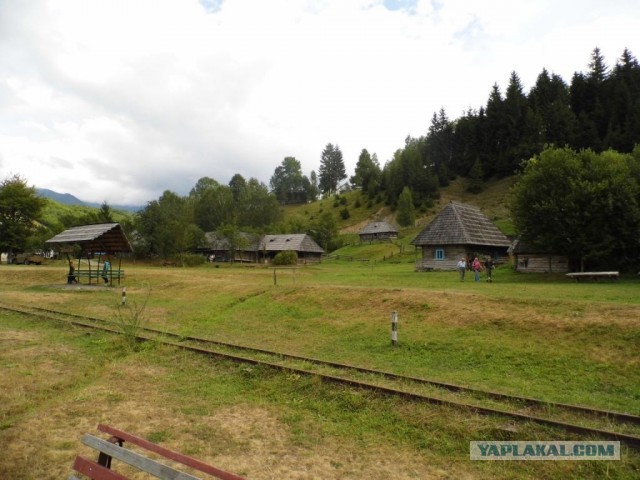 В Карпатах
